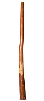 Wix Stix Didgeridoo (WS183)